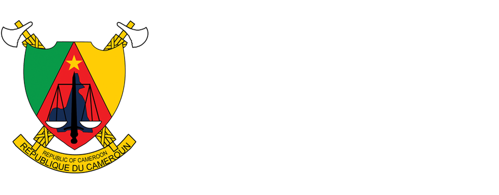 Partenaire 1